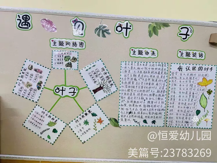 恒爱幼儿园大二班《叶子🍃》主题总结
